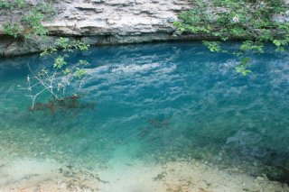 Die Quelle Fontaine-de-Vaucluse 