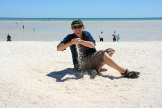 Muschelstrand - Shell Beach