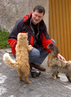 Katzenbelagerung