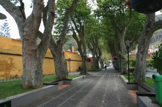 Plantanenallee 