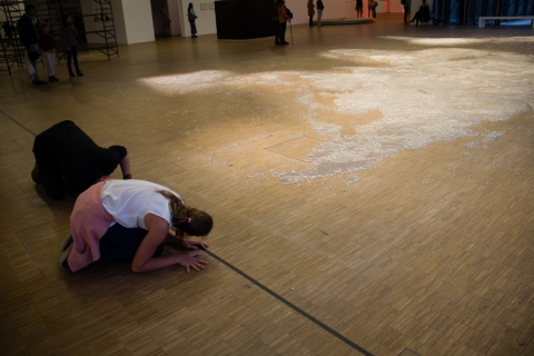 "Map (clear)" von Mona Hatoum