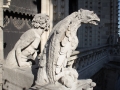 Gargoyles auf der Notre Dame