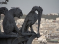 Gargoyles auf der Notre Dame