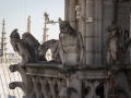 Gargoyles auf der Notre Dame