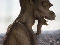 Gargoyles auf der Notre Dame