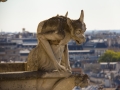 Gargoyles auf der Notre Dame