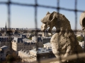 Gargoyles auf der Notre Dame