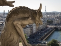 Gargoyles auf der Notre Dame