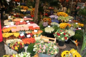 Der Amsterdamer Blumenmarkt