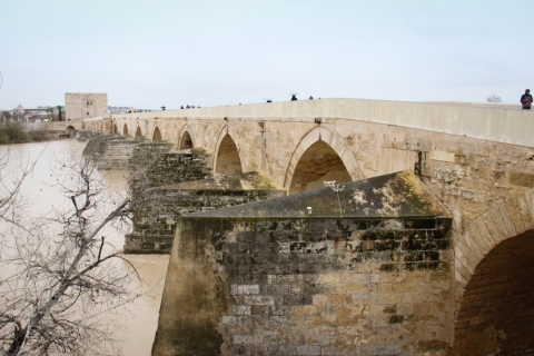 Puente Romano in Cordoba
