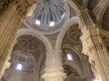 Cathedral Santa María de la Encarnación  / Granada