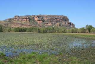 Anbangbang Billabong