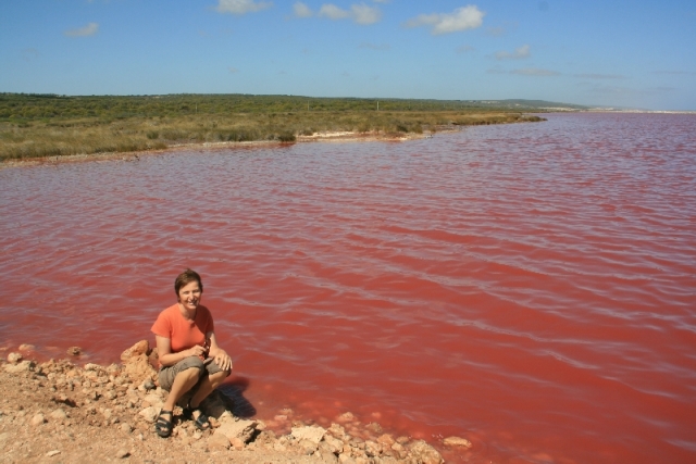 Pink Hutt Lagoon