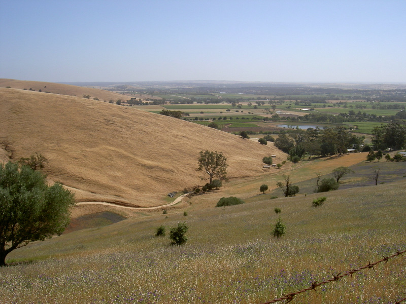 Barossa Valley