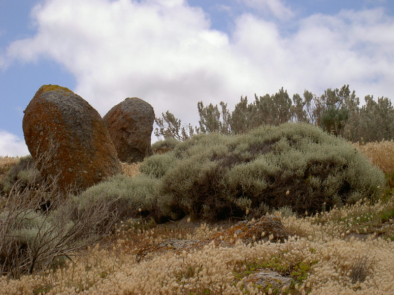 Granite Island