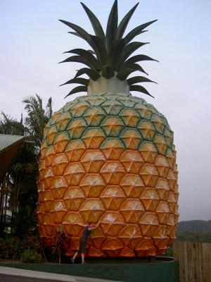Big Pineapple