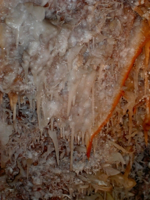 Tropfsteinhöhle Jenolan Caves