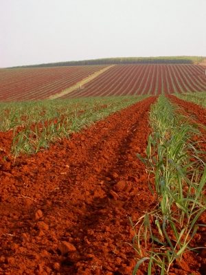 Weites Land
