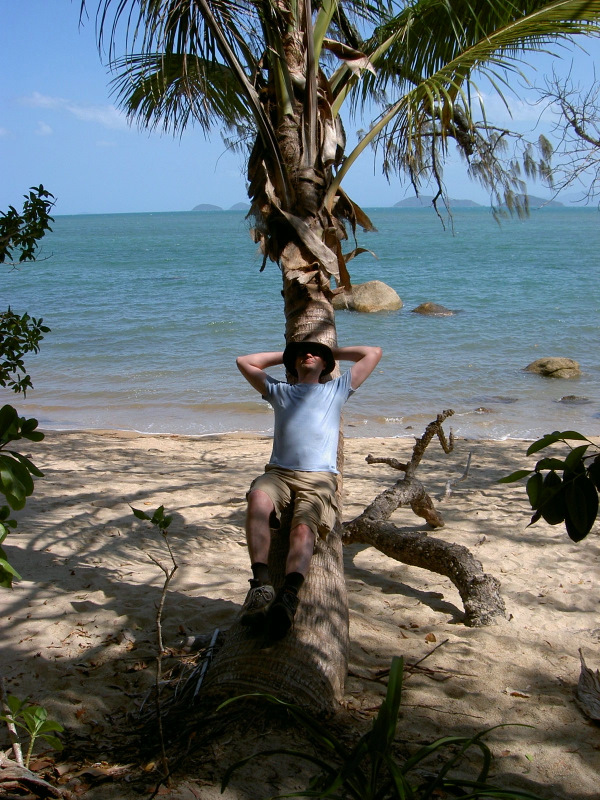 Strand auf Dunk Island