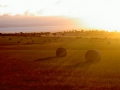 Abendstimmung am Bauernhof