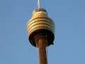 AMP Tower - eines der Wahrzeichen Sydneys