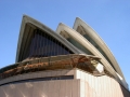 Die berühmte Oper von Sydney