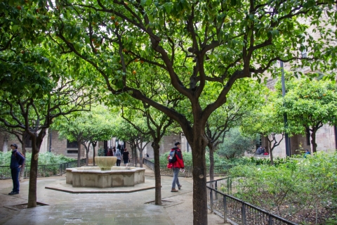 Jardins de Rubió i Lluch