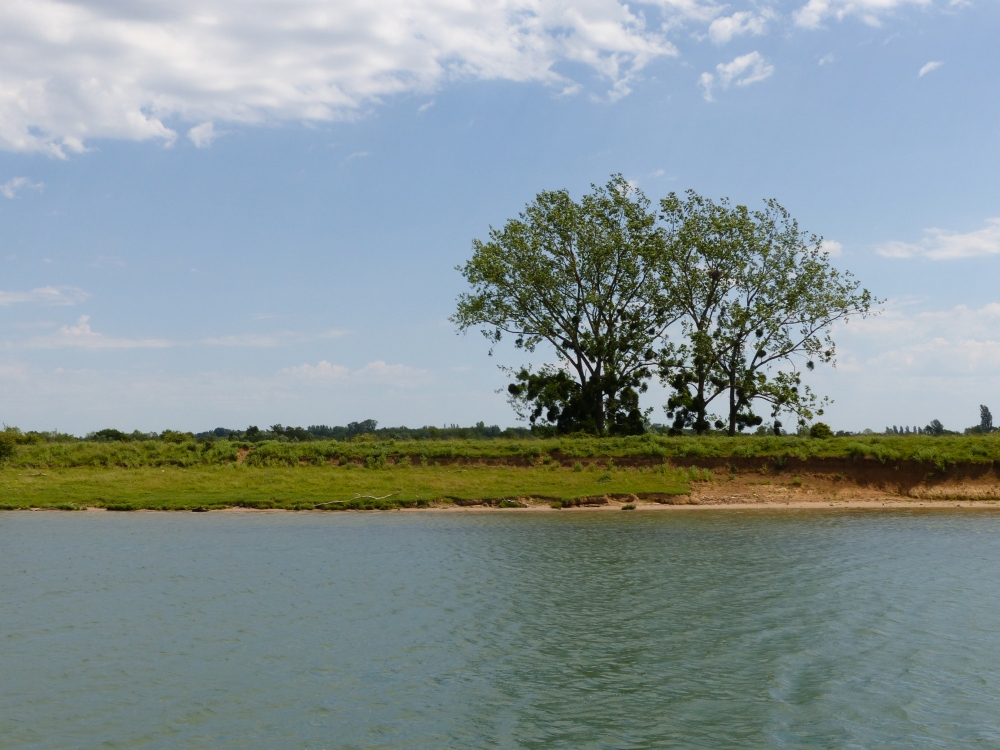 Impressionen Saone bei Tournus