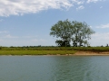 Impressionen Saone bei Tournus