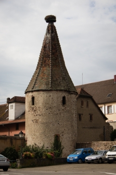 Der Rundturm Tour des Cigognes in Ribeauvillé