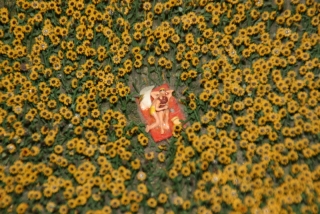 Pikante Szene im Miniatur Wunderland