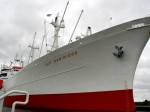 Cap San Diego im Hamburger Hafen
