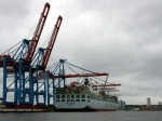 Containerschiff COSCO beim Beladen