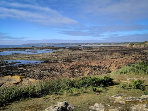 Küstenlandschaft bei Corbière Lighthouse