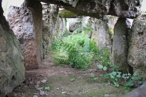 Dolmen du Couperon