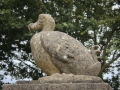 Durrell Wildlife Conservation Turst