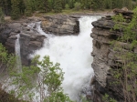 Athabasca Falls 