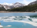 Schon wieder der Bow Lake - nur wirklich fast ohne Eis