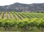 Okanagan Valley