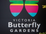 Butterfly Garden
