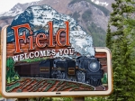Field