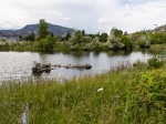 Rotary Marsches von Kelowna