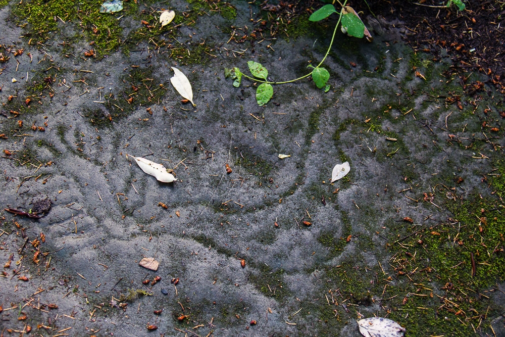 Petroglyphen
