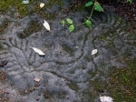 Petroglyphen