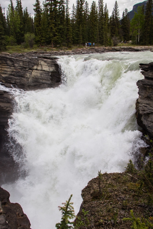 Athabasca Falls