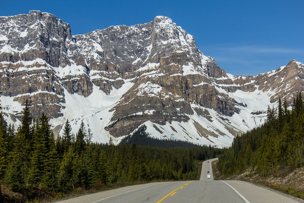 Rocky Mountains am Icefield Parkway