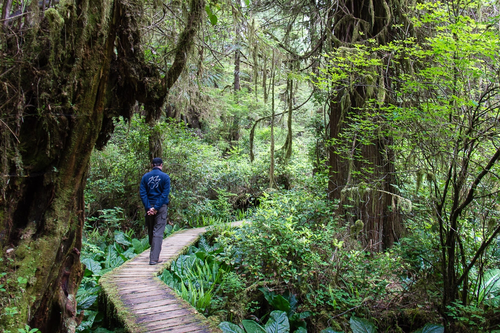 Rainforest Trail