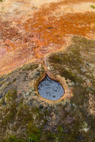 Ray's Farm Mineral Springs