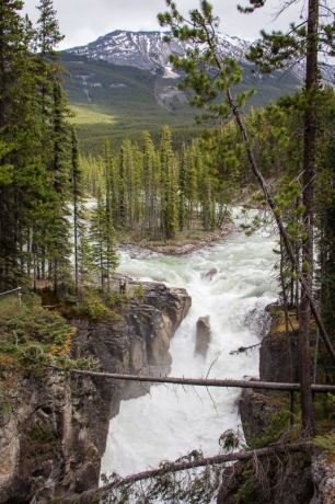 Sunwapta Falls