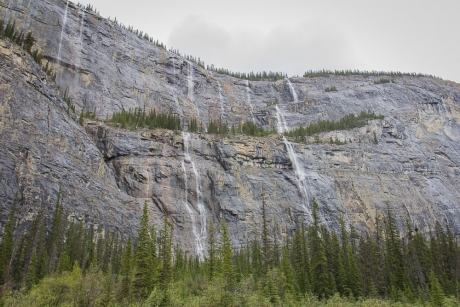Weeping Wall